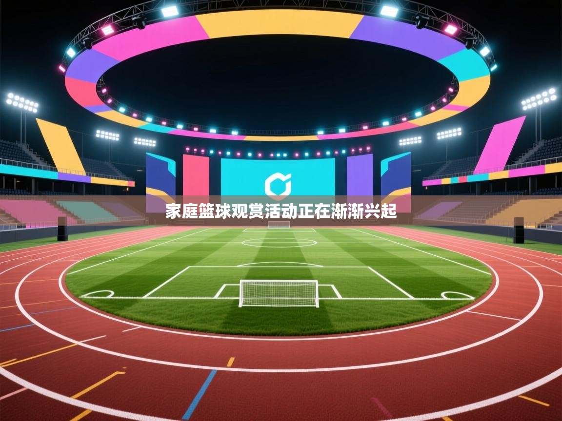 家庭篮球观赏活动正在渐渐兴起 第2张