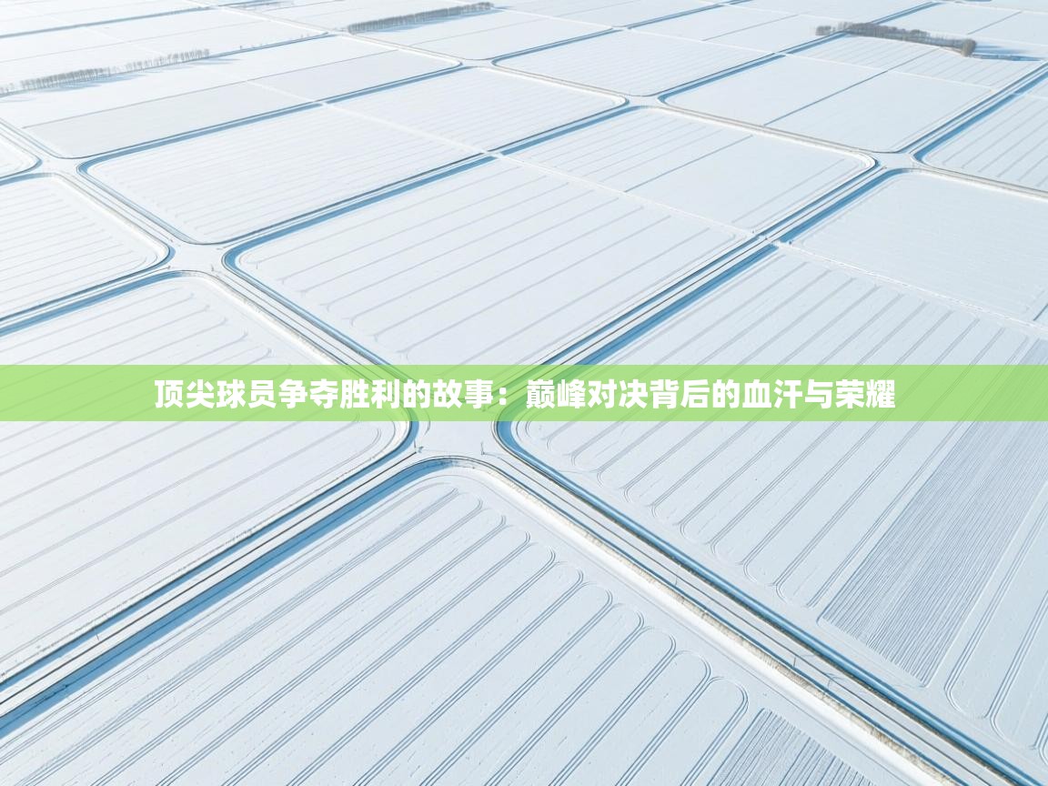 顶尖球员争夺胜利的故事：巅峰对决背后的血汗与荣耀  第2张