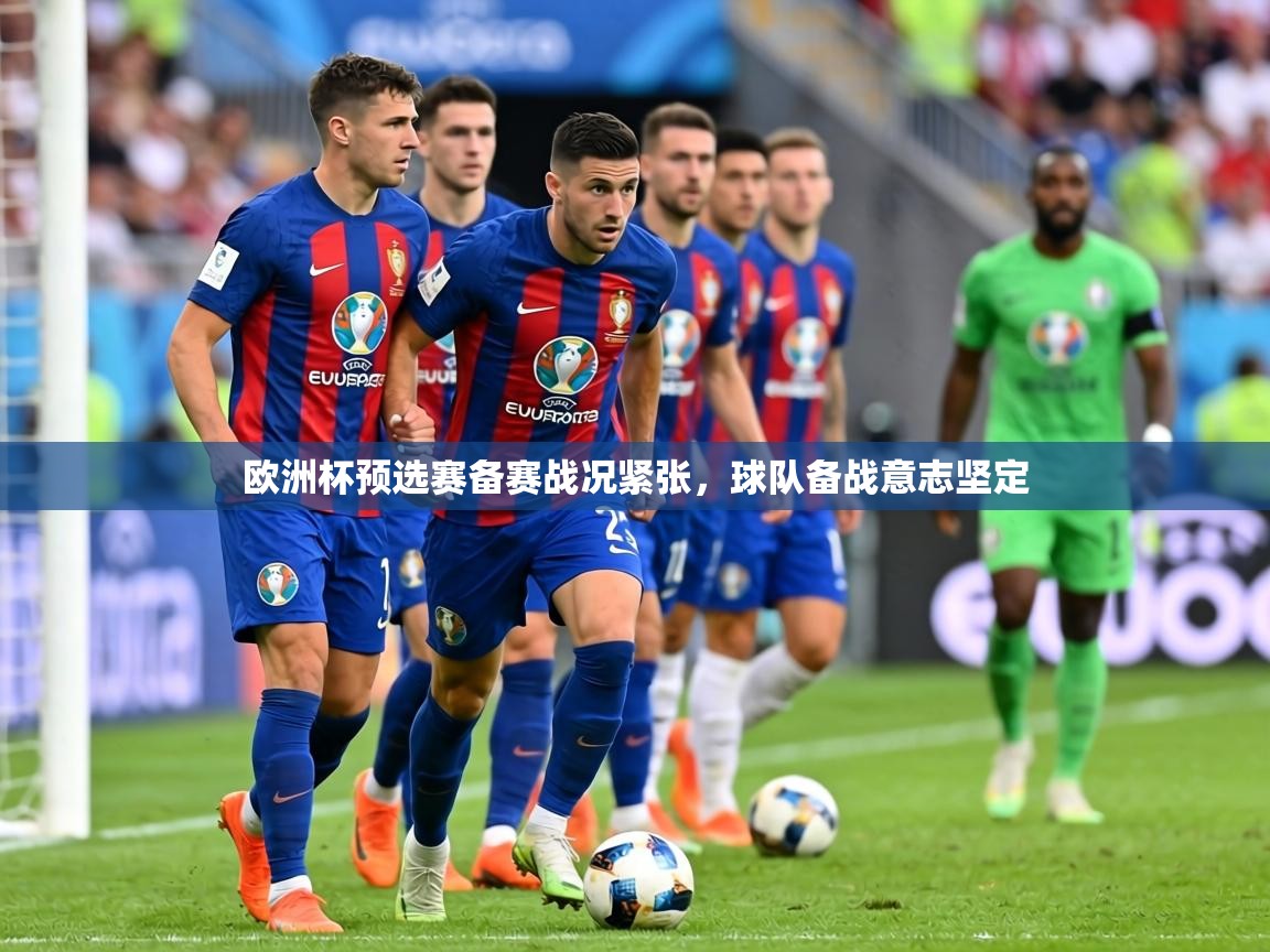 欧洲杯预选赛备赛战况紧张,球队备战意志坚定 第1张