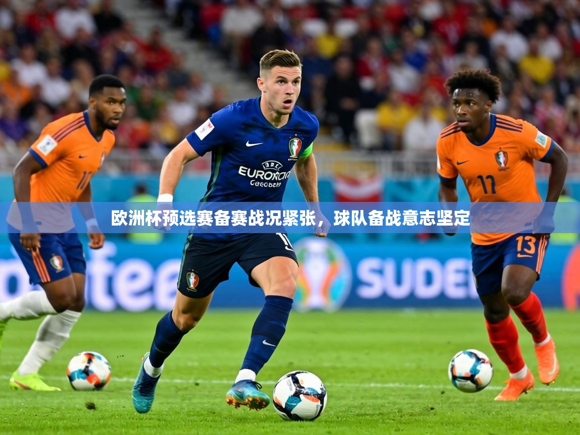 欧洲杯预选赛备赛战况紧张,球队备战意志坚定 第2张